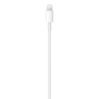 USB-A to Lightning Cable (1 m)