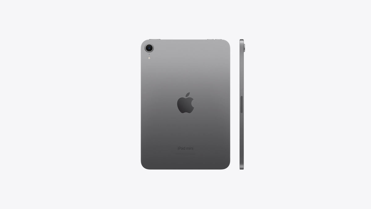 iPad mini - 512GB